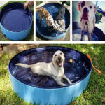 Pet Swimming Pool Foldable Large Bath Supplies