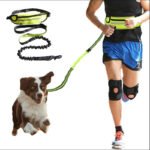Hands Free Dog Leash Pet Walking And Training Belt With Shock Absorbing Bungee Leash